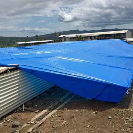 Ultimate Protection with Poly Tarps: 20 Mil Heavy Duty Tarp & 12x20 Super Heavy Duty 16 Mil Brown Poly - Includes Blue Polyethylene Tarps for All Your Covering Needs