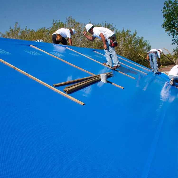 Ultimate Protection with Poly Tarps: 20 Mil Heavy Duty Tarp & 12x20 Super Heavy Duty 16 Mil Brown Poly - Includes Blue Polyethylene Tarps for All Your Covering Needs (2)
